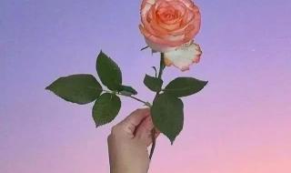 最近很火走心的句子 最近很火走心的句子